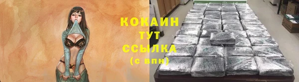стаф Михайлов