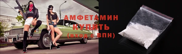 ГАЛЛЮЦИНОГЕННЫЕ ГРИБЫ Гусь-Хрустальный