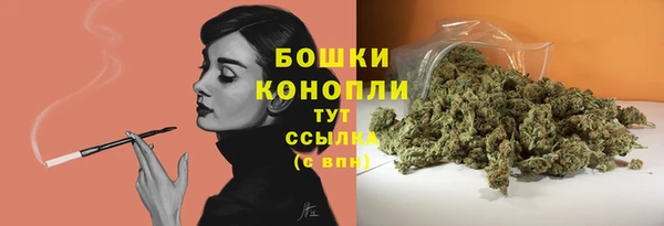стаф Михайлов