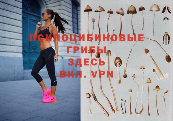 стаф Михайлов
