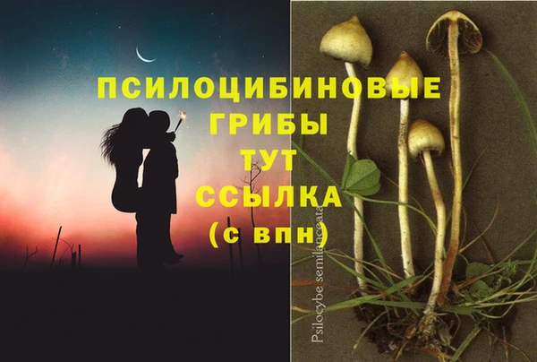 ECSTASY Михайловск