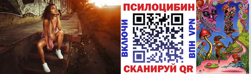 Псилоцибиновые грибы мицелий  Пучеж 